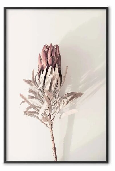 Poster: Bocciolo tropicale - pianta tropicale secca con fiore su sfondo chiaro