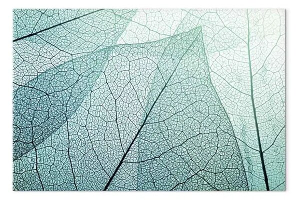 Quadro Macro Flora orizzontale - Zoom astratto su foglia
