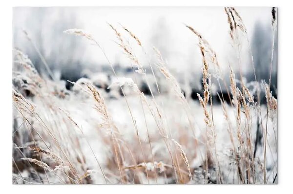 Quadro Terra di Ghiaccio orizzontale - Paesaggio invernale
