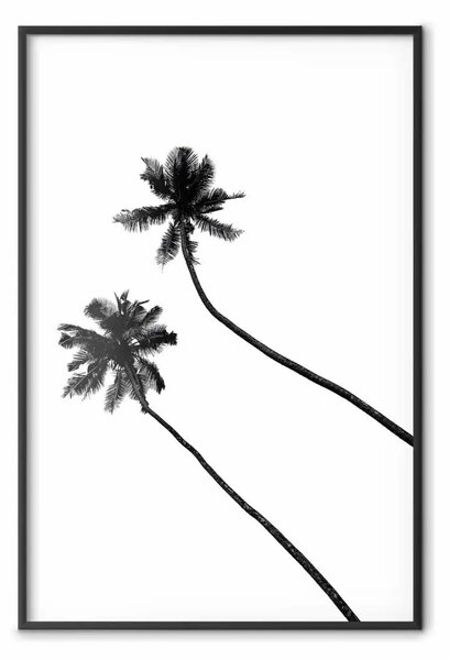 Poster: Palme solitarie - alberi tropicali neri su sfondo bianco contrastante