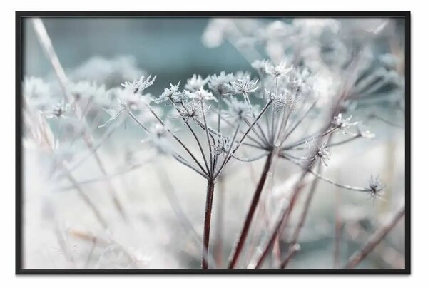 Poster: Brina autunnale - paesaggio invernale di piante ghiacciate