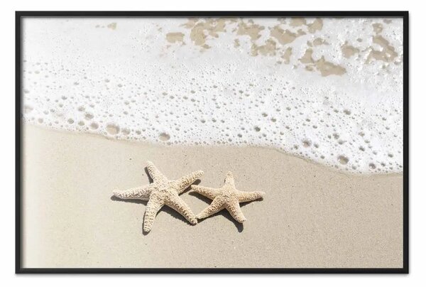 Poster: Ricordo delle vacanze - spiaggia con stelle di mare