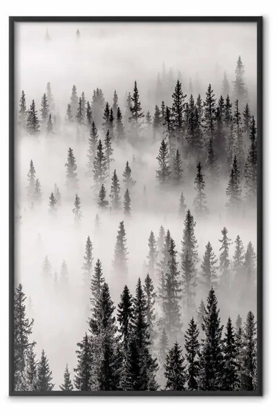 Poster: Zona selvaggia