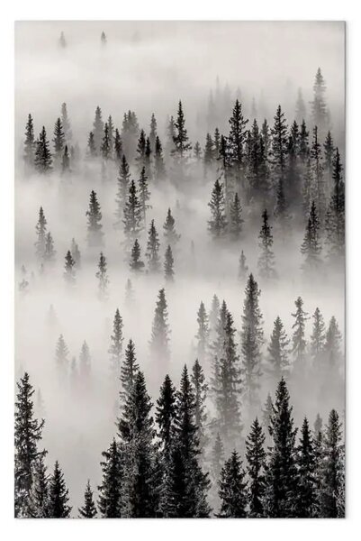 Quadro moderno Rifugio verticale - Paesaggio di foresta oscura e nebbiosa