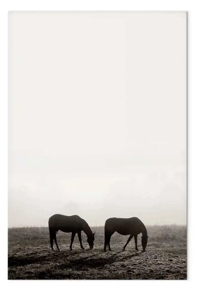 Quadro moderno Cavalli al mattino - paesaggio raffigurante gli animali al pascolo all'alba