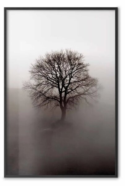 Poster: La forza dormiente dell'albero - albero spoglio nella nebbia
