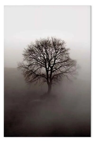 Quadro su tela Il potere dietro l'albero - Albero scuro nella nebbia