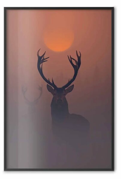 Poster: Cervi nella nebbia - animale al tramonto durante la nebbia