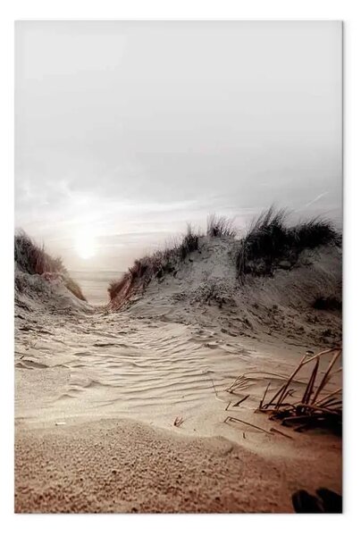 Quadro Attraverso Dune - Spiaggia con mare