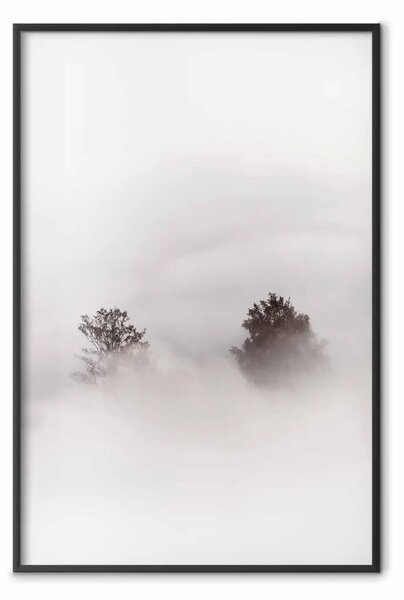 Poster: Sussurro nebbia - alberi in densa nebbia