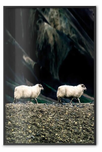 Poster: Dietro di me! - animali su sfondo verde sfocato