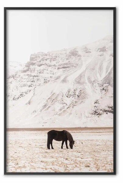Poster: Solitudine valle - animale nero su monti