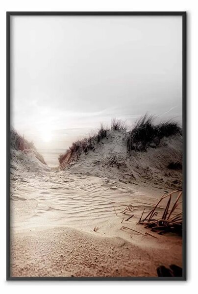 Poster: Percorso dune - spiaggia sabbiosa, cielo chiaro