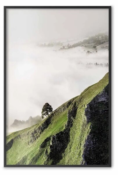 Poster: Albero nuvole - montagna, alberi sopra nuvole