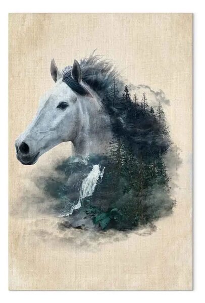Quadro moderno Messaggero Libertà - Cavallo disegnato