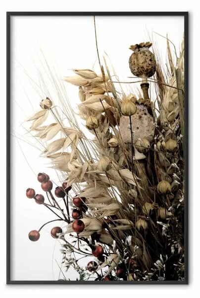 Poster: Diario dorato - piante autunnali su sfondo bianco in stile boho