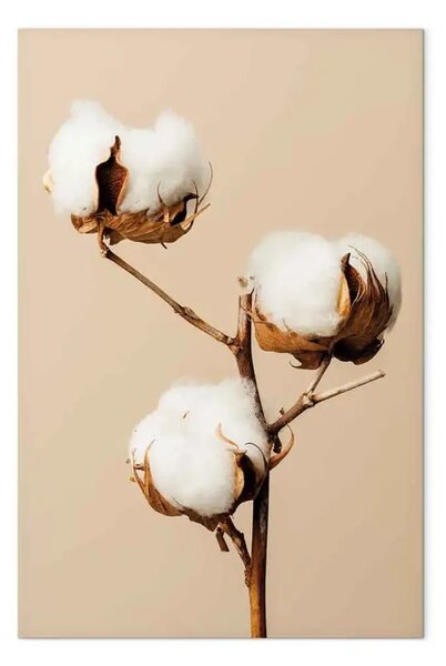 Quadro Morbidità Floreale - fiore in stile boho