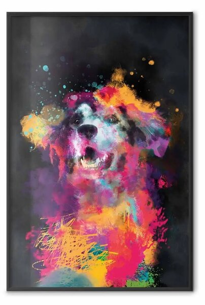 Poster: Gioia del cane - cane multicolore in stile acquerello su sfondo nero