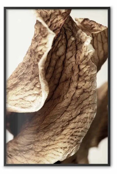 Poster: Scultura del vento - foglie marroni astratte con texture evidente