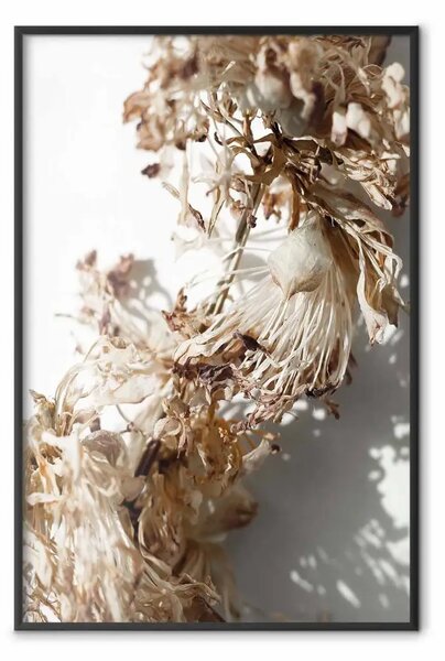 Poster: Spazio sogni - composizione fiori bianchi su chiaro