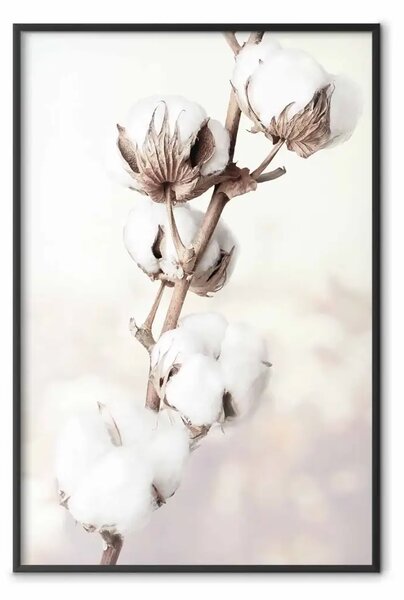 Poster: Sottigliezza natura - paesaggio pianta con fiori