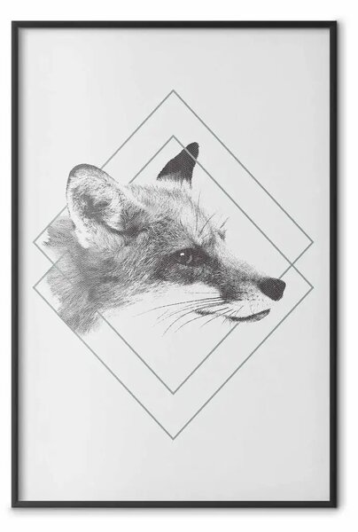 Poster: Volpe astuta - ritratto di animale su sfondo uniforme