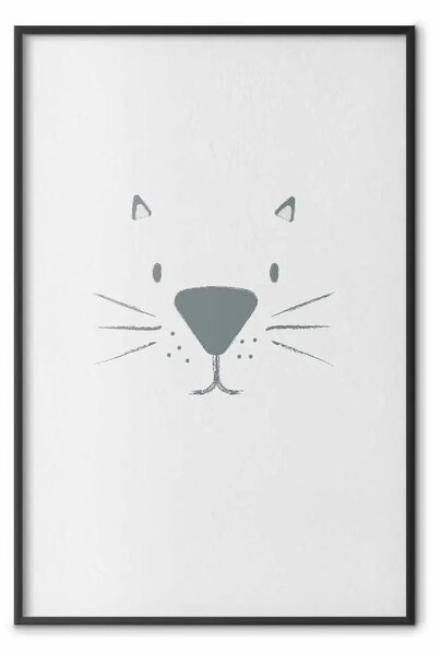 Poster: Musetto di gatto - animale con faccia divertente