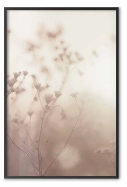 Poster: Prato mattino - pianta con fiori su sfondo solare