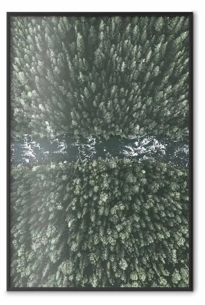 Poster: Fiume nel bosco - paesaggio naturale di bosco e fiume visto dall'alto