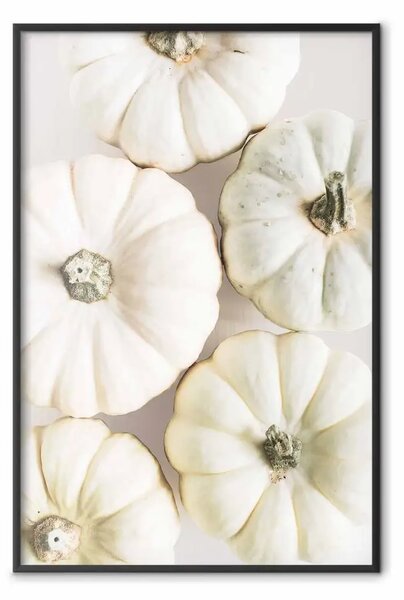 Poster: Tempo zucche - verdure autunnali su bianco