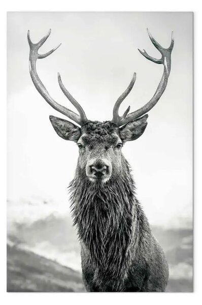 Quadro contemporaneo Signore Autunnale - ritratto animale