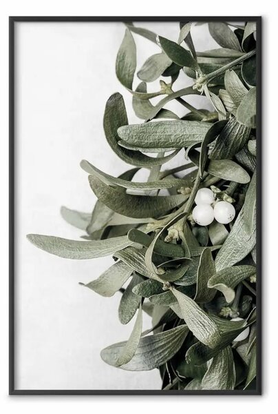 Poster: Bacio felice - pianta frondosa con fiori su sfondo grigio