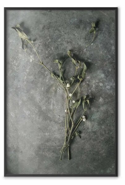 Poster: Amore sempreverde - pianta con fiori bianchi su fondo di cemento