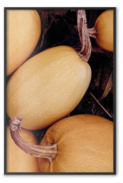 Poster: All'autunno - verdure arancioni autunnali su sfondo terra scuro