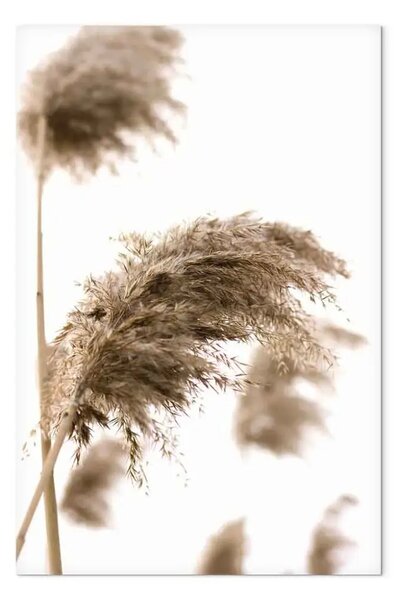 Quadro Vento secco verticale - paesaggio vegetale in stile boho