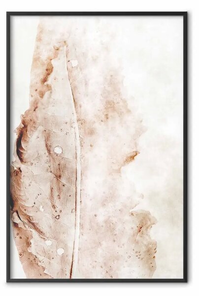 Poster: Foglia matura - texture foglia marrone su bianco