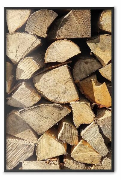 Poster: Bellezza dell'albero - composizione di legno tagliato in diverse forme