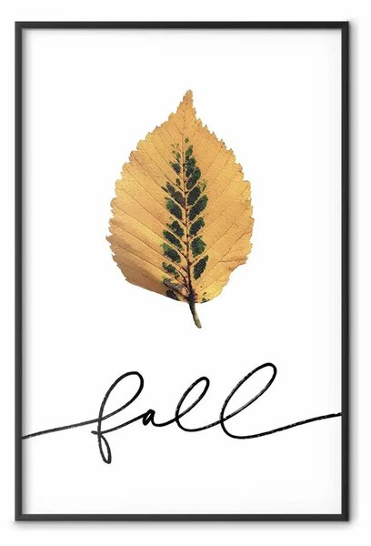 Poster: Foglia insolita - foglia autunnale gialla su bianco
