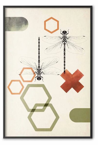 Poster: Libellule geometria - figure astratte, insetti