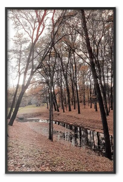 Poster: Passeggiata autunnale - alberi, foglie marroni, stagno