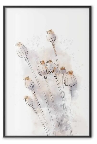 Poster: Papaveri tranquilli - line art di fiori su sfondo bianco
