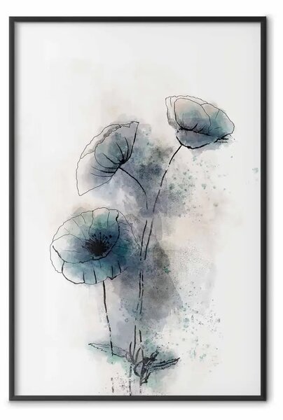 Poster: Papaveri blu - line art di piante con fiori blu su sfondo chiaro