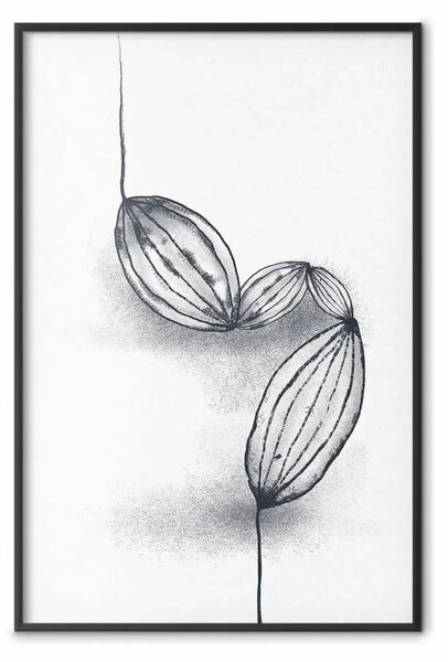Poster: Semi di cacao - line art di semi su sfondo bianco