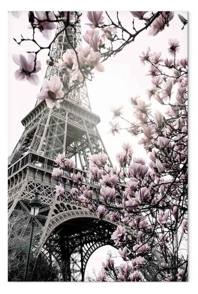 Quadro contemporaneo Magnolie al sole di Parigi verticale - magnolie primaverili