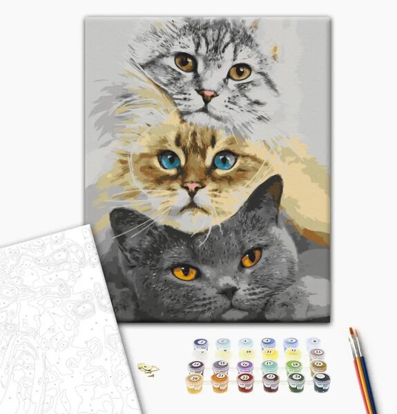 Quadro con numeri Trio di gatti