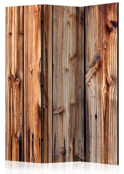 Paravento separè Stanza di legno - unica composizione in marrone