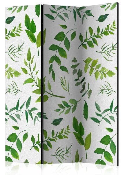 Paravento design Rami verdi - composizione di foglie su sfondo bianco