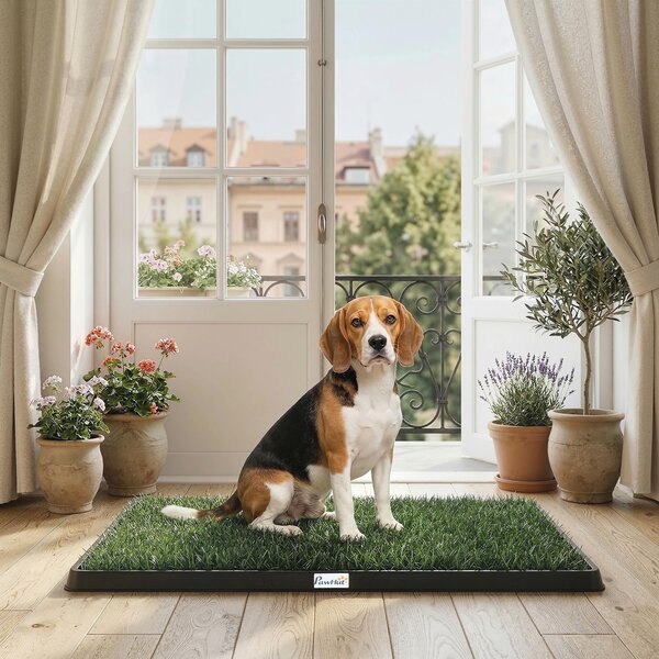 PawHut Tappetino Erboso Lavabile per Cani con Erba Artificiale e Vassoio per Uso Interno ed Esterno 76 x 50,5 cm | Aosom Italy