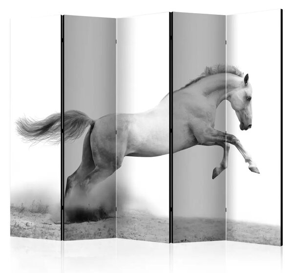 Paravento design Galoppo bianco II - cavallo sulla spiaggia