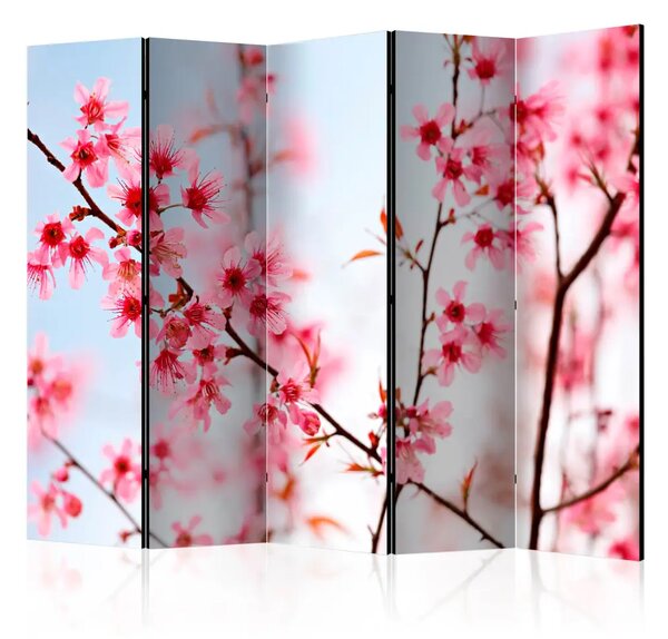 Paravento separè Simbolo del Giappone - sakura II - fiori di ciliegio